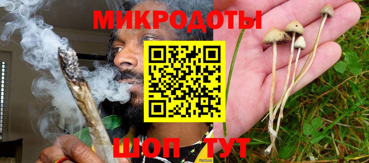 Псилоцибиновые грибы мухоморы Тихвин
